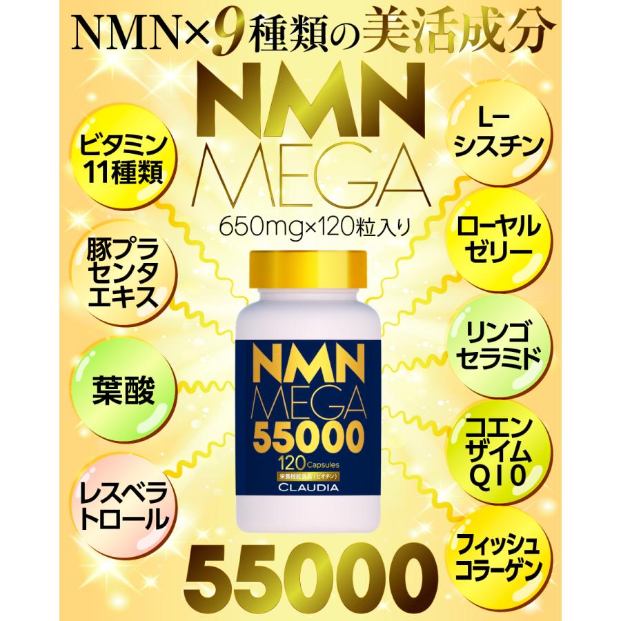 NMNサプリメント 公式】NMNサプリメント NMN 55000mg 高純度99.9% 120粒 4ヶ月分 日本製