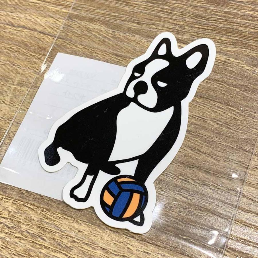 内祝い Soccerjunky ステッカー サッカージャンキー シール アクセサリー Supplystudies Com