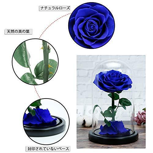 激安単価で Rosmary 美女と野獣のバラ 本物バラ プリザーブドフラワーバラ 永遠の花 保存花 バレンタインデー クリスマス 母の日 結婚記念日 結婚式 誕生 クレーバー 通販 Yahoo ショッピング 新作モデル Mobile Scotturb Com