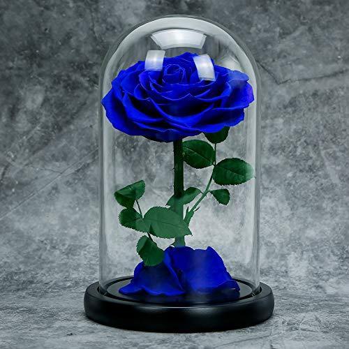 激安単価で Rosmary 美女と野獣のバラ 本物バラ プリザーブドフラワーバラ 永遠の花 保存花 バレンタインデー クリスマス 母の日 結婚記念日 結婚式 誕生 クレーバー 通販 Yahoo ショッピング 新作モデル Mobile Scotturb Com