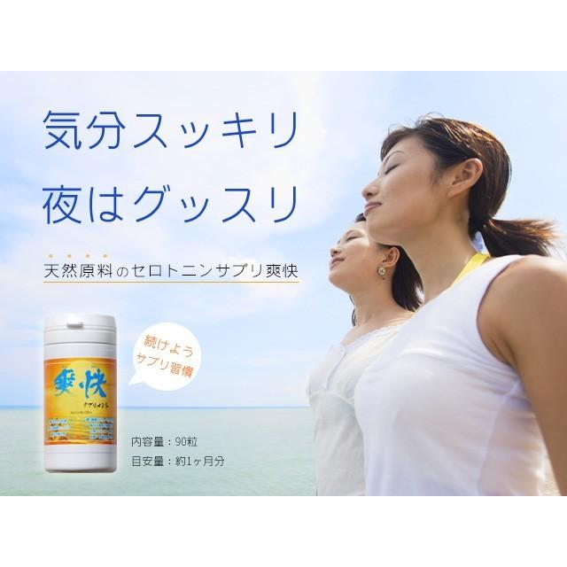 セロトニン サプリメント 爽快 1ヶ月分 酵素 大麦発酵酵素 |  | 01