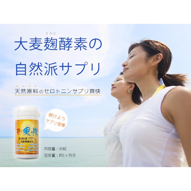 セロトニン サプリメント 爽快 1ヶ月分 酵素 大麦発酵酵素 |  | 02