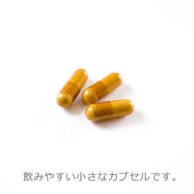 セロトニン サプリメント 爽快 1ヶ月分 酵素 大麦発酵酵素 |  | 01