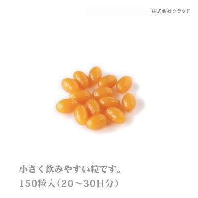 レシチン・γリノレン酸 αリノレン酸 NACC エヌエーシー