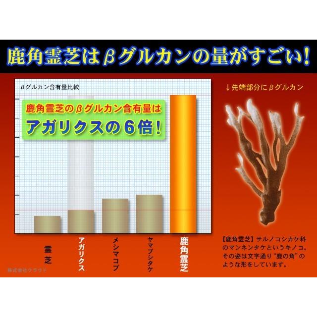 鹿角霊芝 GOLD ゴールド ドリンク NACC エヌエーシー 6月末 当店取扱
