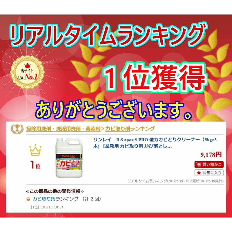 リンレイ　R'S PRO 強力カビとりクリーナー（5kg×3本) 【業務用 カビ取り剤 かび落とし かび取り剤 かび掃除 カビ掃除 かび除去 カビ除去 浴室 目地 窓】_1