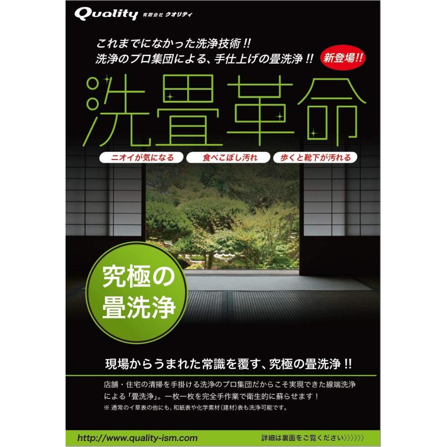 クオリティ NEW極線君 匠 ステンレスブラシ 業務用 ニューごくせんくん