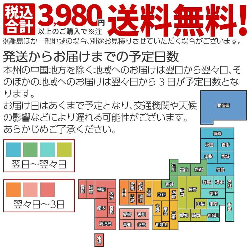 【半額セール】【3本セット】エクセルコート 業務用 酸性クリーナー200g×1本 車 アルミホイール エンブレム ブレーキダスト 汚れ 鉄粉除去｜clean-excel｜12