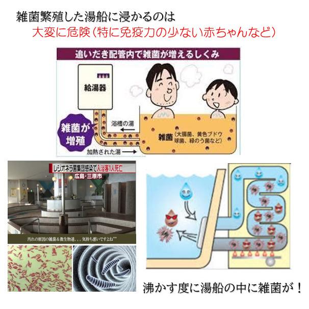 業務用 風呂釜配管洗浄剤　DXセット【２個セット】 |  | 05