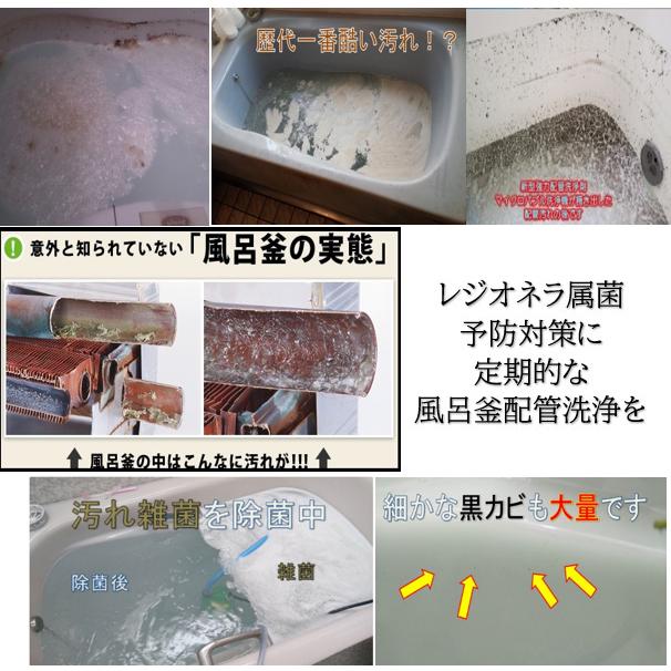 業務用 風呂釜配管洗浄剤　DXセット【２個セット】 |  | 07