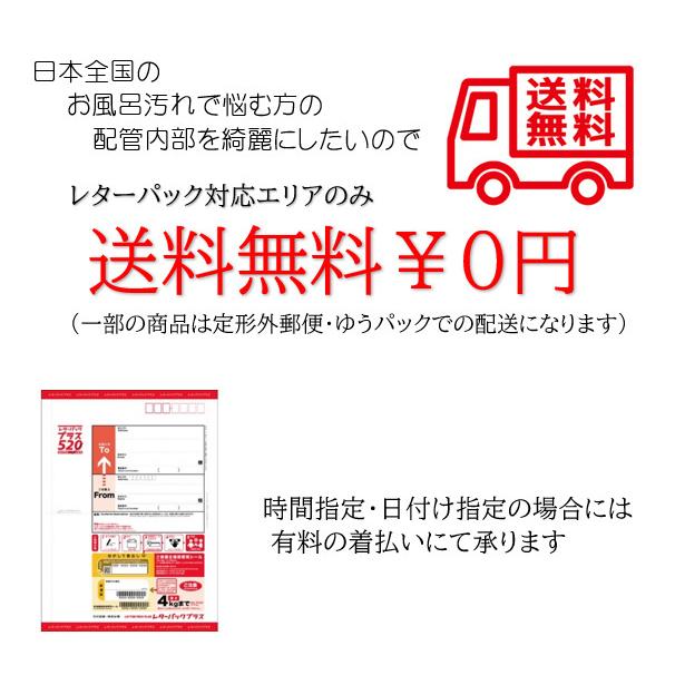 業務用 風呂釜配管洗浄剤　DXセット |  | 10