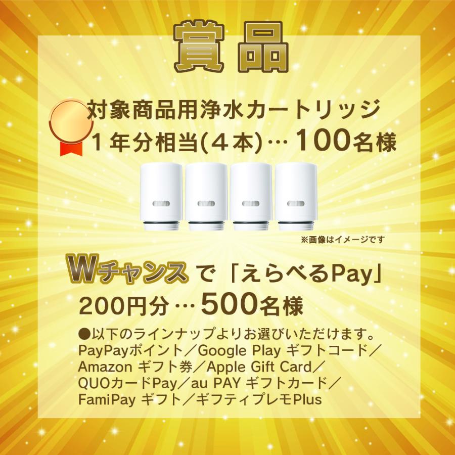 21福袋 浄水器カートリッジ Hgc9s 1個 Materialworldblog Com