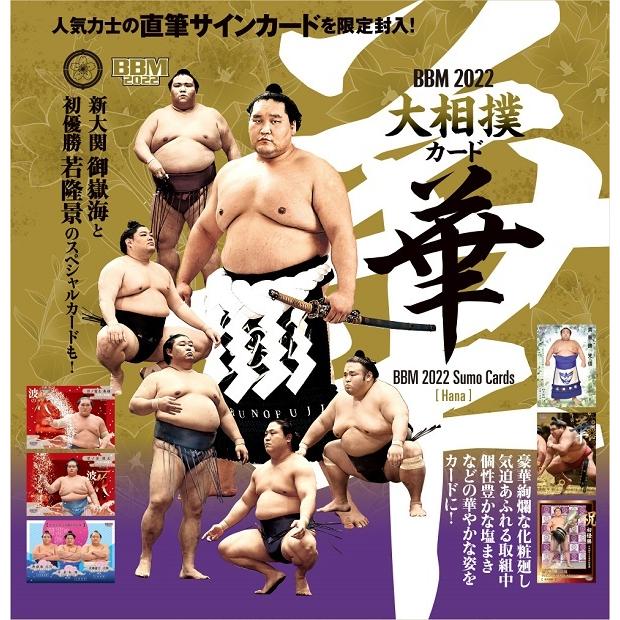 宅配便送料無料 BBM大相撲カード化粧廻しセット2001 - その他