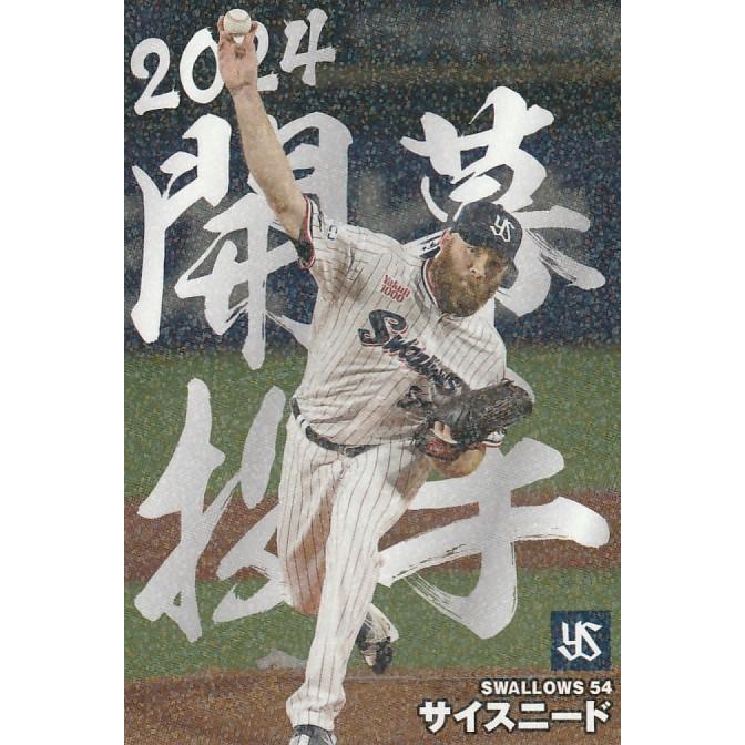 カルビー プロ野球チップス 2004 通販限定 ハードヒッター 楽天市場】カルビー2004 プロ野球チップス WEB限定カード