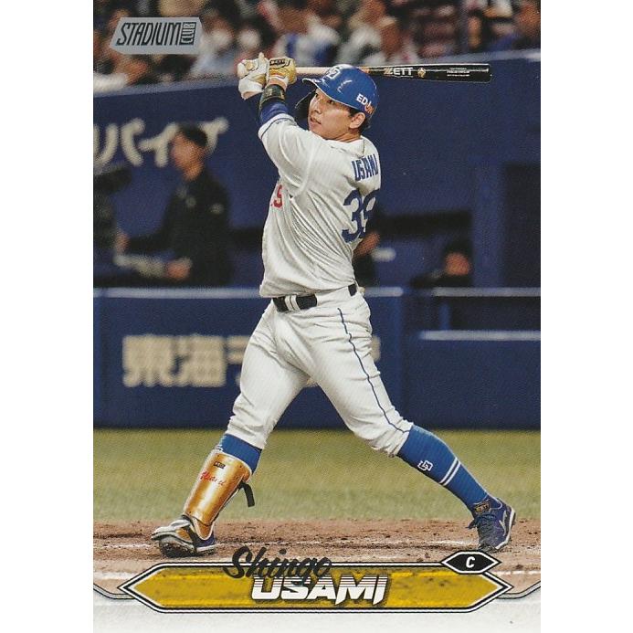 値下可Topps 2024 NPBトレーディングカード10枚1P✕16 Topps 2024 NPBトレーディングカード10枚1パック✕16値下交渉可