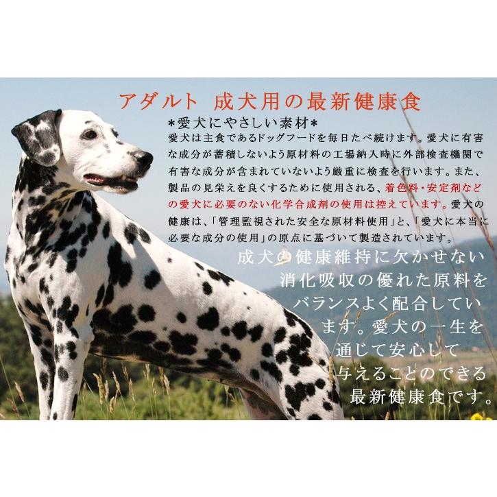 ドッグフード 犬用 厳選素材使用 プレミアム ドッグフード Grace one グレイスワン アダルト 成犬用 ドッグフード 3kg ドッグフード 総合栄養食 最新健康食 |  | 03