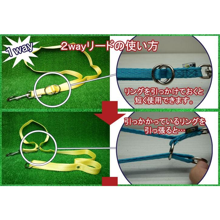 犬用 リード サイズL 18カラー 2WAY 調節 シンプル カラフル ppark オリジナル おしゃれ ペット ドッグ |  | 04