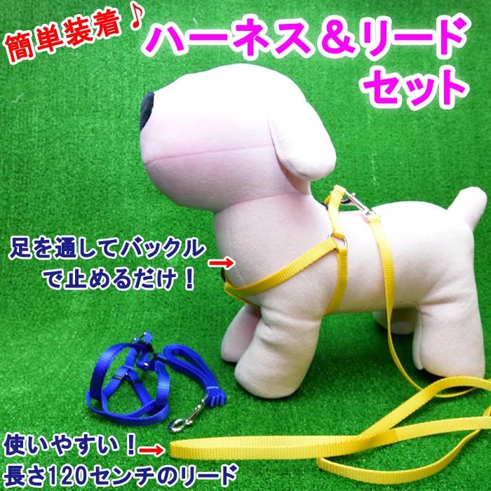 犬用 ハーネス＆リードセット  サイズS  簡単 仔犬 入門 シンプル 7カラー Clear ppark  オリジナル おしゃれ お散歩 お出かけ グッズ ペット ドッグ いぬ イヌ |  | 01