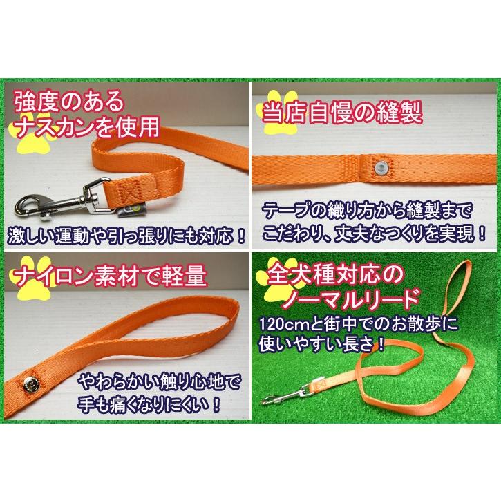 犬用 ノーマルリード サイズＭ シンプル カラフル 5カラー ppark オリジナル おしゃれ ペット ドッグ いぬ イヌ |  | 04