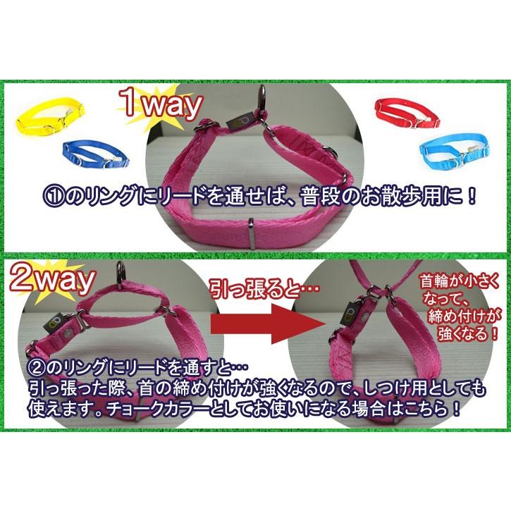 犬用 首輪 サイズL 18カラー 2WAY 調節 シンプル カラフル ppark オリジナル おしゃれ ペット ドッグ いぬ イヌ |  | 05