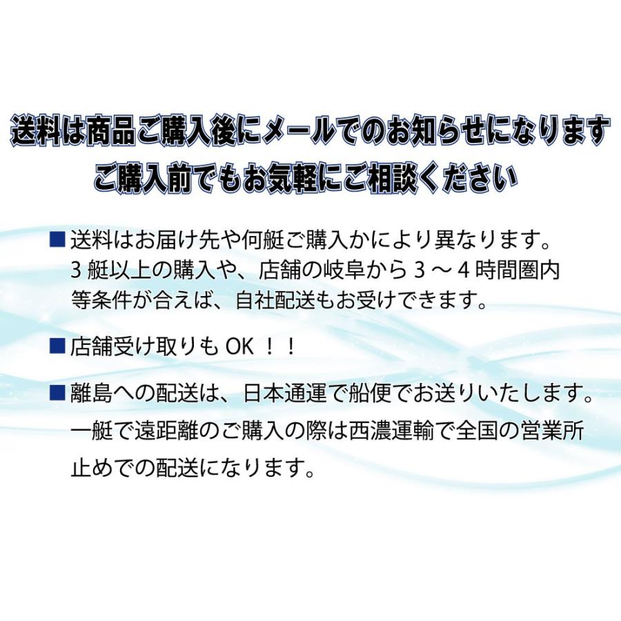 SUP サップ スタンドアップパドルボード クリアサップ 透明 海 SUP サップ スタンドアップパドルボード クリアサップ 透明 海