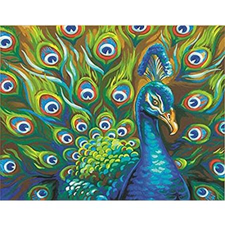 Adults, for Numbers by Paint Peacock Wild 73-91477 新品DIMENSIONS 14'' 11'' x W フェイス、ボディペイント 超人気新品