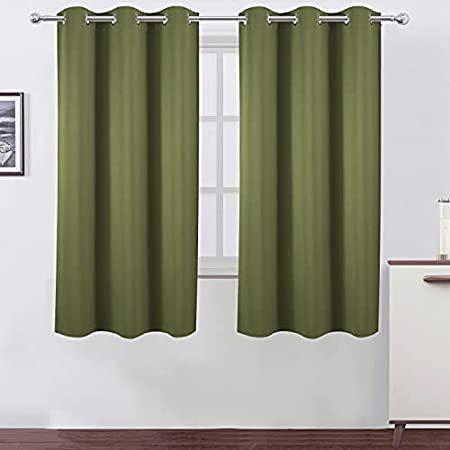 LEMOMO Olive Green Thermal Blackout Curtains/38 x 63 Inch/Set of 2 Panels R