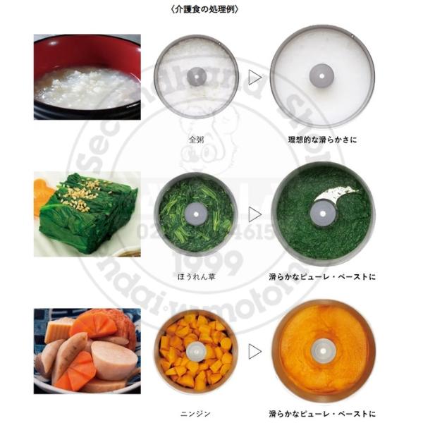 BLIXER-4V.V.B ロボクープ FMI ミキサー食づくり専用マシン ブリクサー