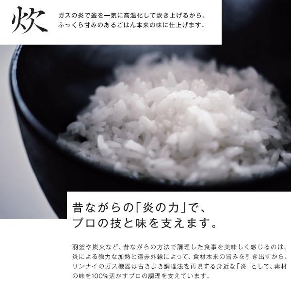 RR-S300G2-H ガス炊飯器 αかまど炊き（ハイグレード涼厨） 6.0L