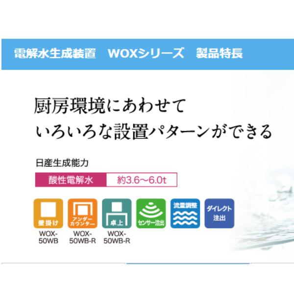 ホシザキ 電解水生成装置 WOX-50WB ダイレクト注出方式 次亜塩素酸水