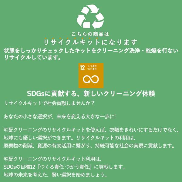 衣類 宅配クリーニング 詰め放題 ５点まで シミ抜き プロの目利き洗い 全国送料無料 レギュラー（リサイクルキット） |  | 03