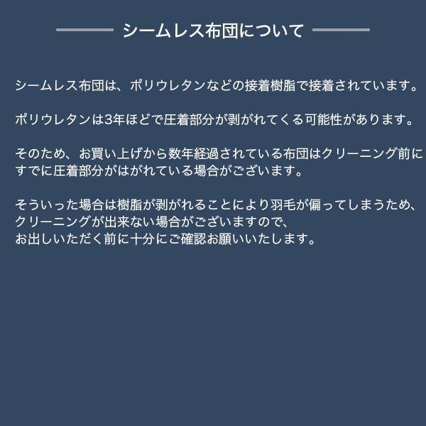 羽毛 布団 宅配クリーニング 保管 ２枚 特殊シミ抜き・防ダニ・防虫抗菌 全国送料無料 ９ヶ月まで保管 布団・毛布・掛け布団・敷布団 プレミアム |  | 16