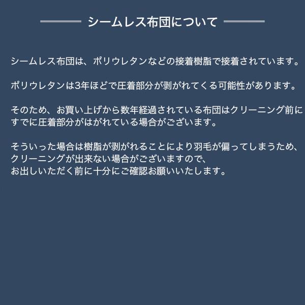 羽毛 布団 宅配クリーニング お急ぎ便 ２枚 基本シミ抜き 全国送料無料 布団・毛布・掛け布団・敷布団 レギュラー |  | 14