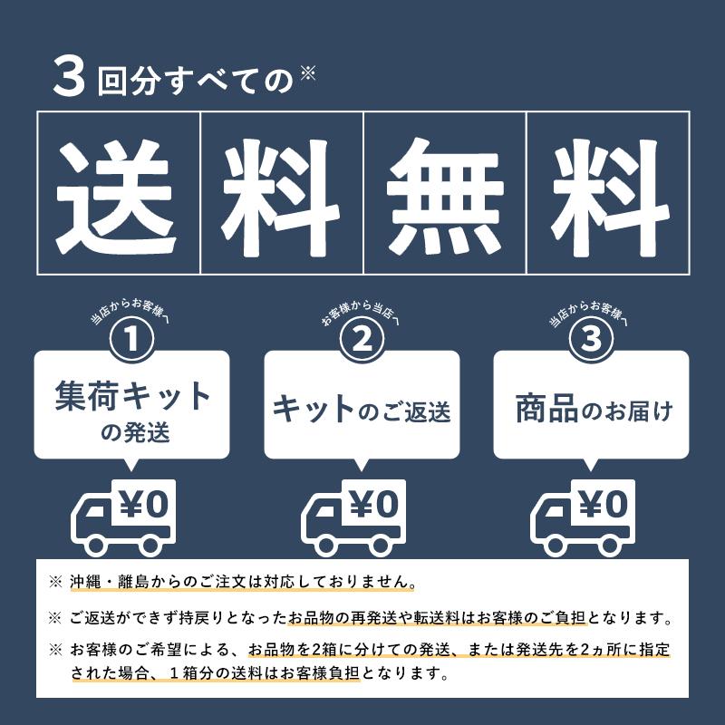 羽毛 布団 宅配クリーニング  お急ぎ便３枚 防ダニ・基本シミ抜き 全国送料無料 布団・毛布・掛け布団・敷布団 レギュラー |  | 06