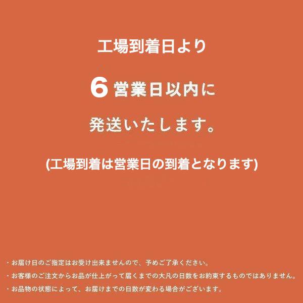 ブーツ 宅配クリーニング お急ぎ便 １足 手洗い・除菌・消臭・簡易補色 全国送料無料 |  | 02