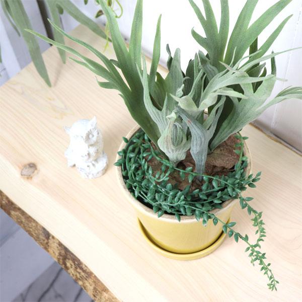 グロッシーポット ミモザ 鉢 底穴あり 黄色 yellow green glossy pot 5号サイズ |  | 01