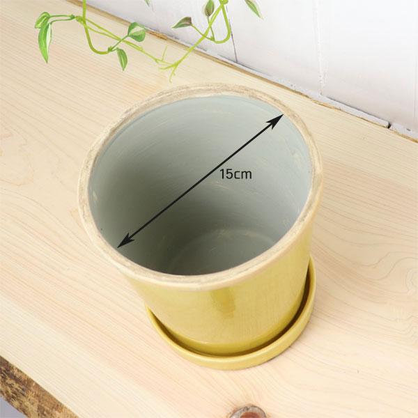 グロッシーポット ミモザ 鉢 底穴あり 黄色 yellow green glossy pot 5号サイズ |  | 03