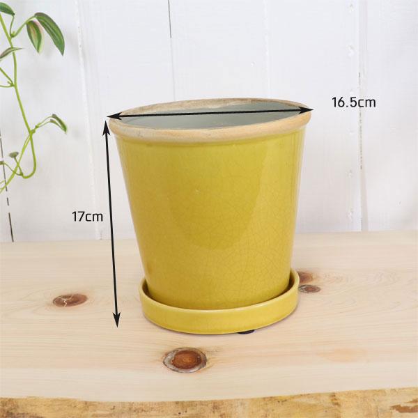 グロッシーポット ミモザ 鉢 底穴あり 黄色 yellow green glossy pot 5号サイズ |  | 04