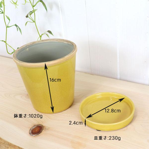 グロッシーポット ミモザ 鉢 底穴あり 黄色 yellow green glossy pot 5号サイズ |  | 05