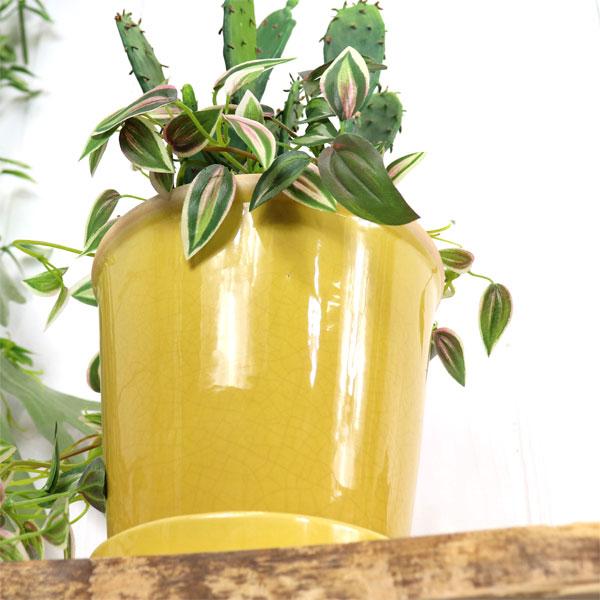 グロッシーポット ミモザ 鉢 底穴あり 黄色 yellow green glossy pot 5号サイズ |  | 06