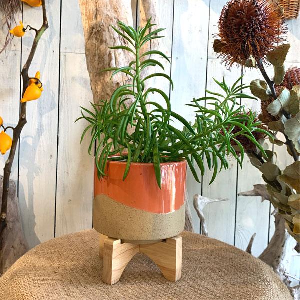 レーナ 15 ピンク スタンド付き 底穴なし 鉢カバー プランター ポット | 