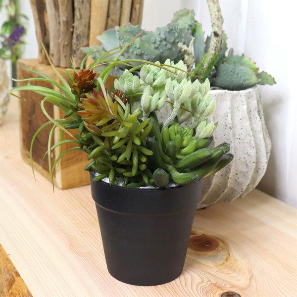 ミニアレンジメントポット Sa 多肉植物 フェイクプランツ アートプランツ 330 ツリーハウス ガーデン雑貨 Diy 通販 Yahoo ショッピング