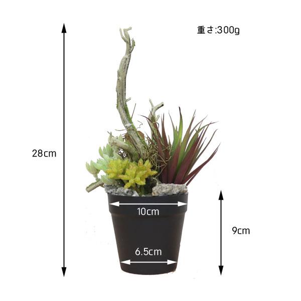 ミニアレンジメントポット SE 多肉植物　フェイクプランツ アートプランツ |  | 05