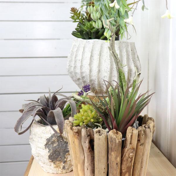 ミニアレンジメントポット SE 多肉植物　フェイクプランツ アートプランツ |  | 06