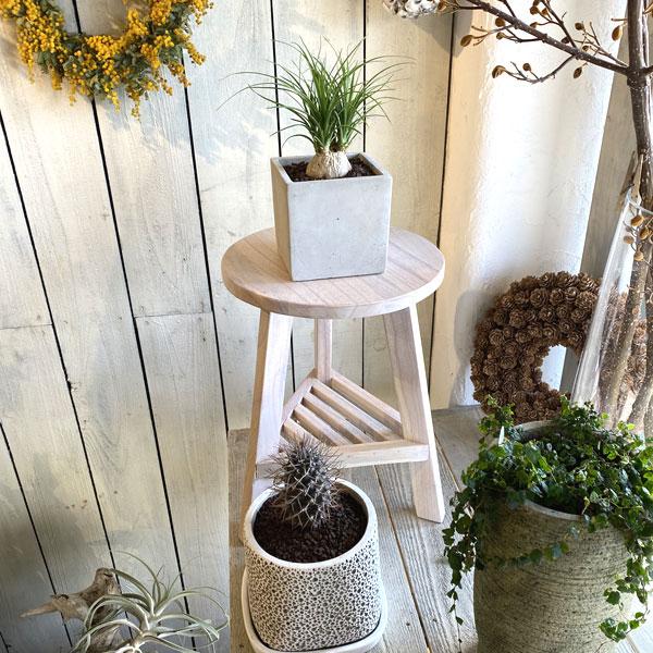 プランターベースS ホワイト インテリア ヴィンテージ おしゃれ アンティーク プランター 天然木 リビング 玄関 プランターベース |  | 01