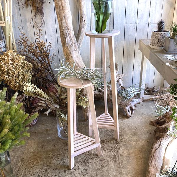 プランターベースM ホワイト インテリア ヴィンテージ おしゃれ アンティーク プランター 天然木 リビング 玄関 プランターベース |  | 04