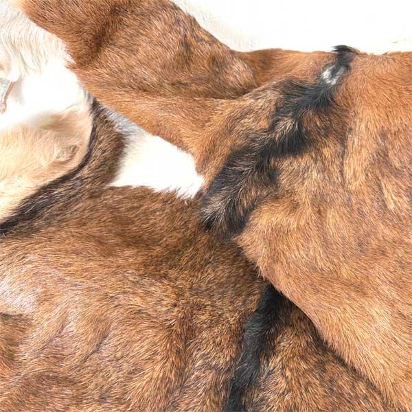 ゴートレザー goat 毛皮 マット 1点物 1枚革 山羊皮_2
