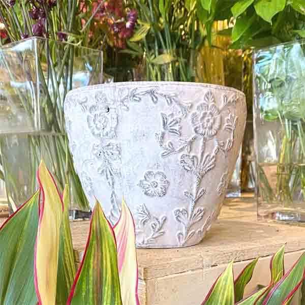 ダイナスティポットL 鉢 植木鉢 ガーデニング |  | 02