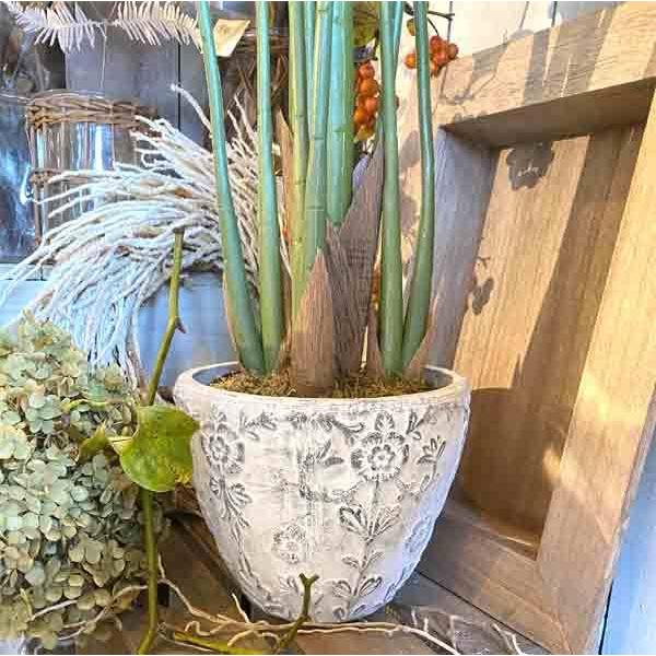 ダイナスティポットL 鉢 植木鉢 ガーデニング |  | 06