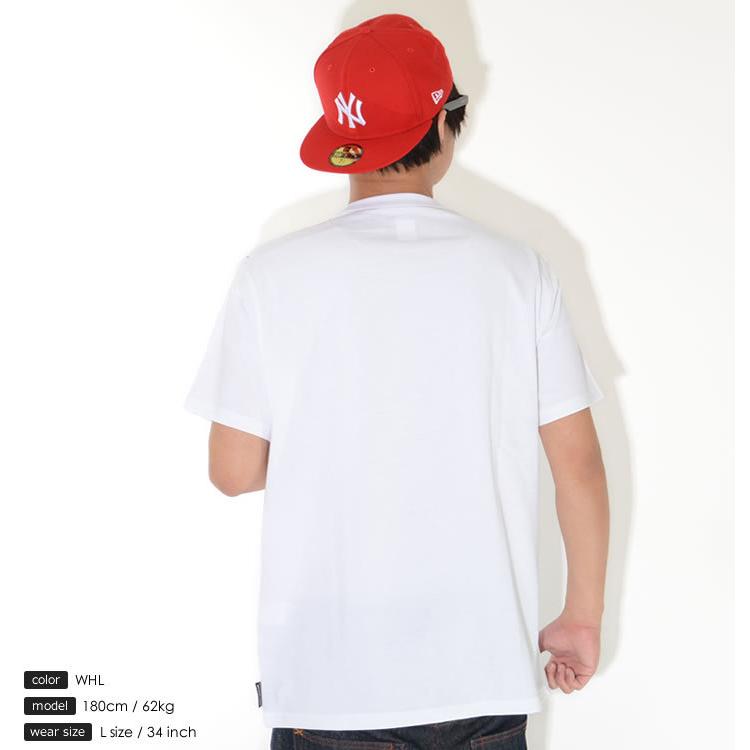 DC SHOES ディーシーシューズ Tシャツ 半袖 USフラッグ柄 DCロゴ 蓄光プリント Glow in the dark (DST211038) セール | DC SHOES | 02